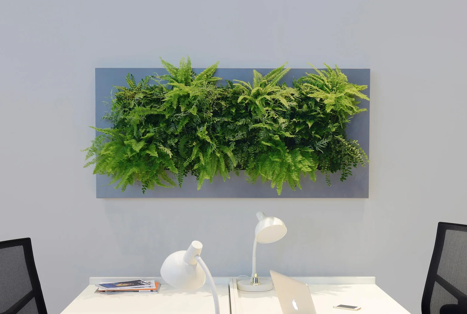 LivePicture LivePicture is a piece of living artwork that bridges the gap between plants and art and comes in five different sizes.