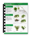 Indoor Plant Guide