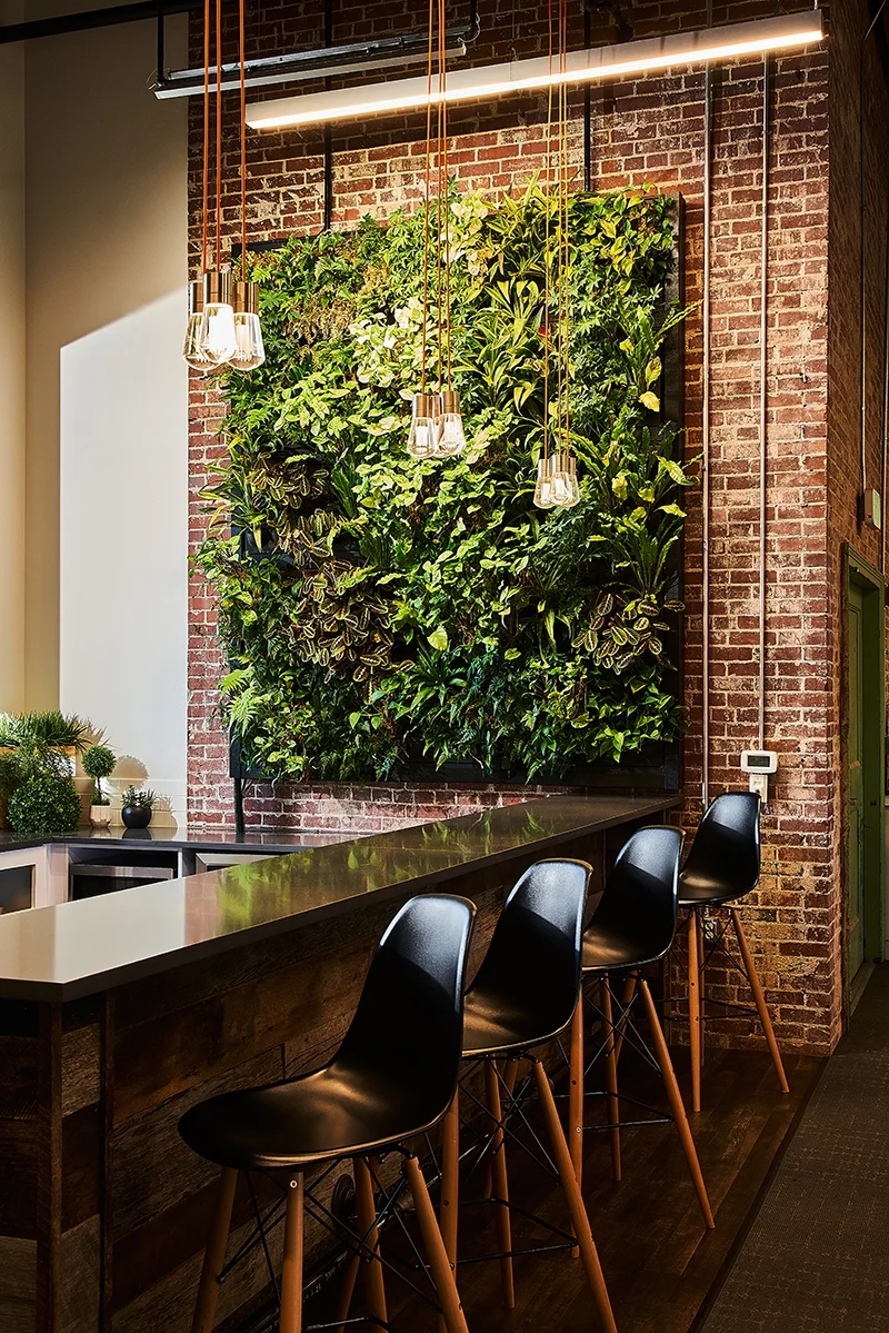 Launch Factory Living Wall.jpeg