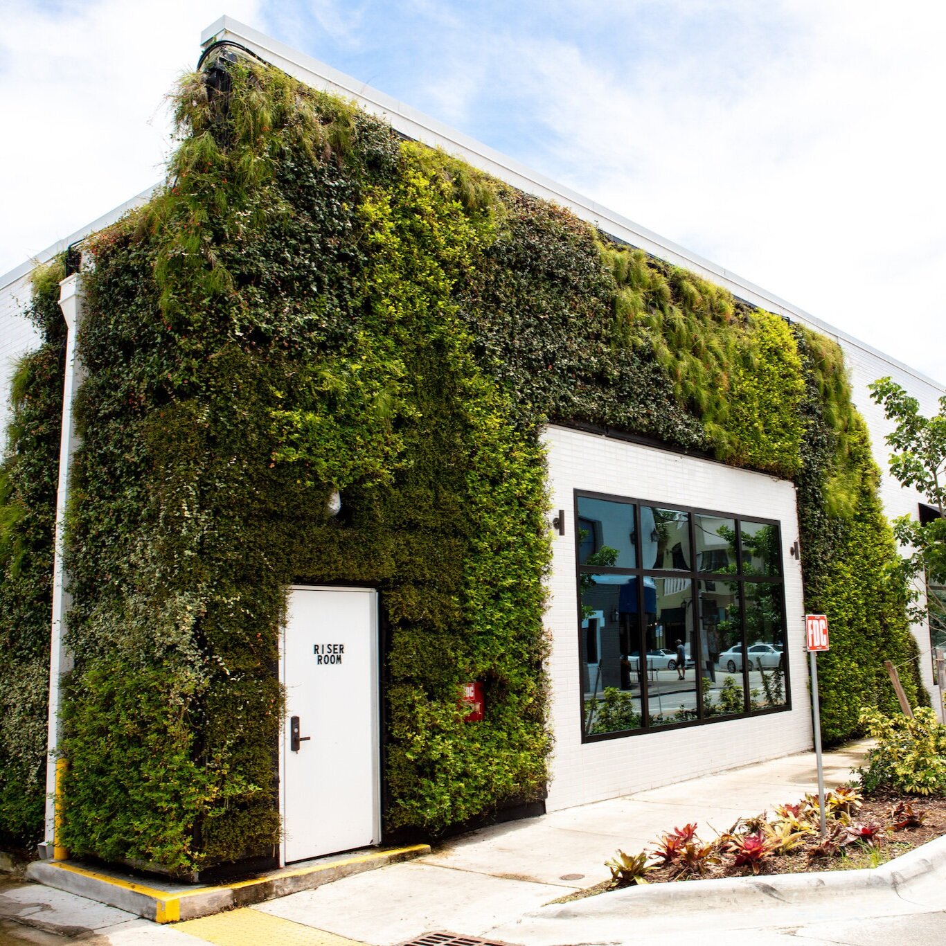 Capital One Café - Exterior Living Wall by Suite Plants