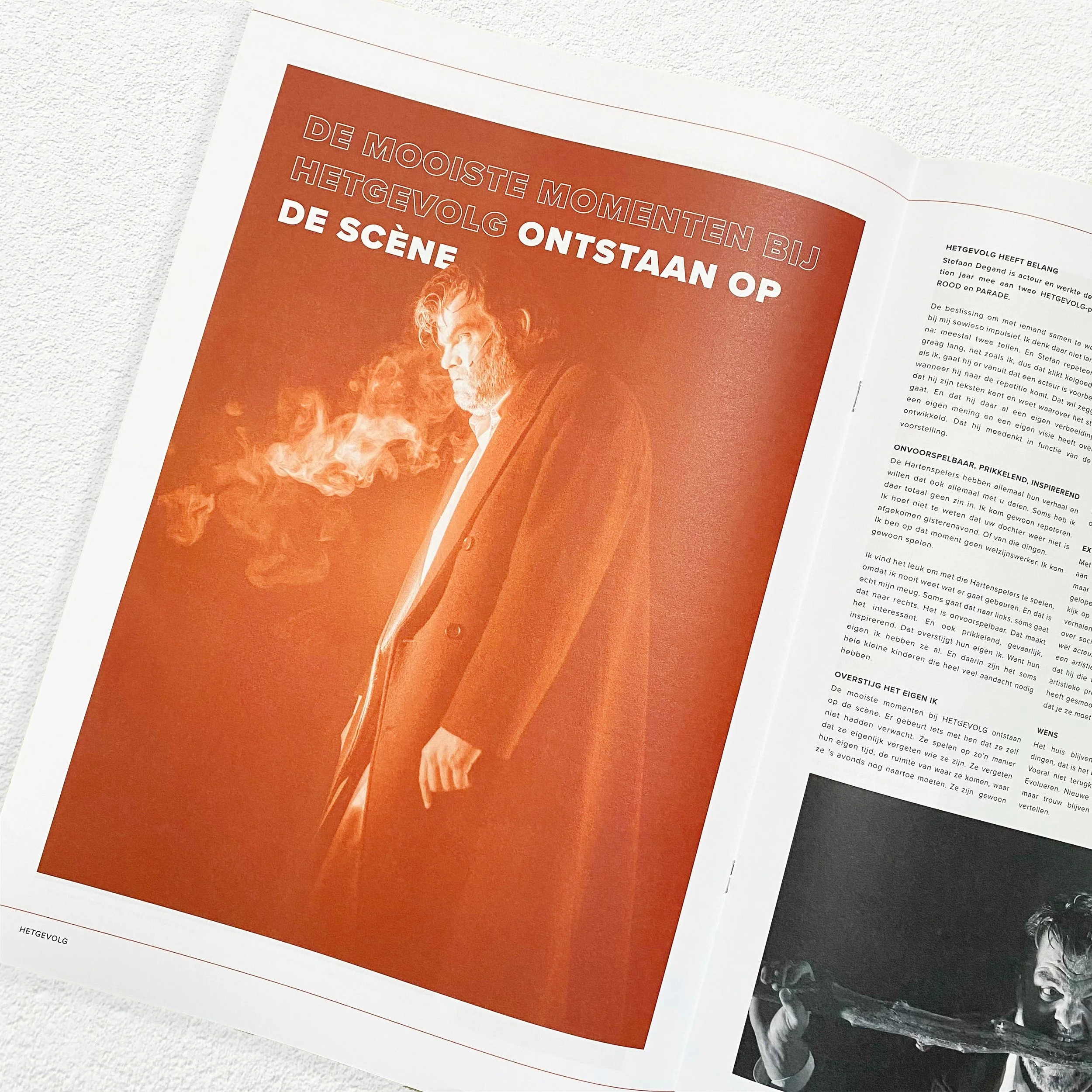 HETGEVOLG_gazet3.jpg