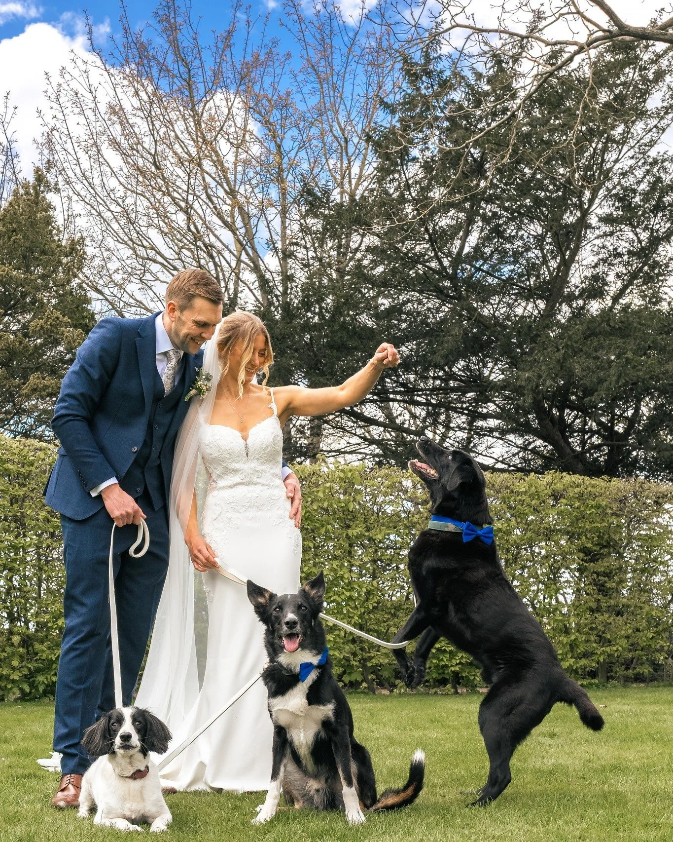Part of the family 🐾

We love these shots of our animal-lovers, Mr &amp; Mrs Stephenson, with their gorgeous dogs. 

All guests are welcome at Dunedin - even the four-legged ones 🐕❤️

📸 @stefanocavalliniphotography