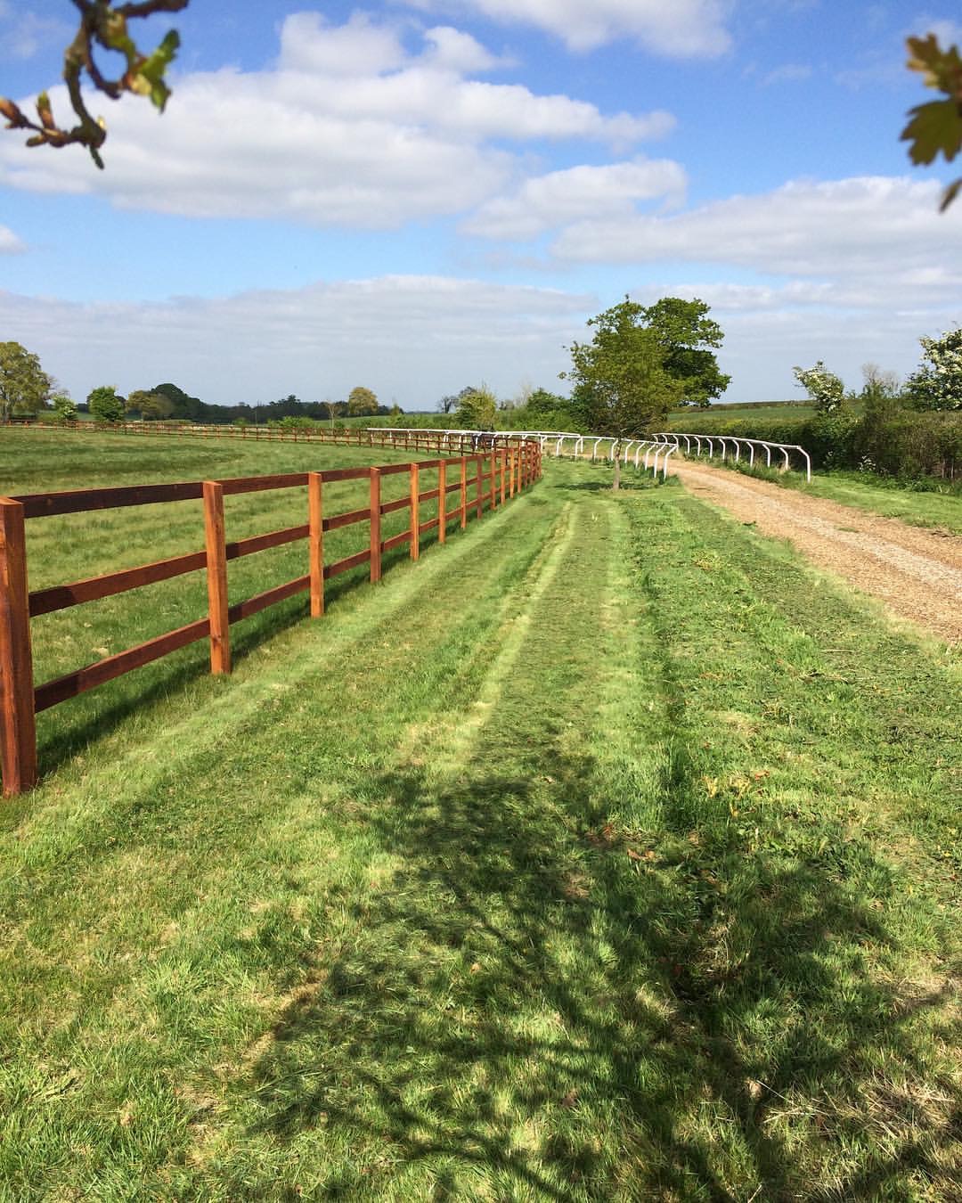 path and fence.JPG