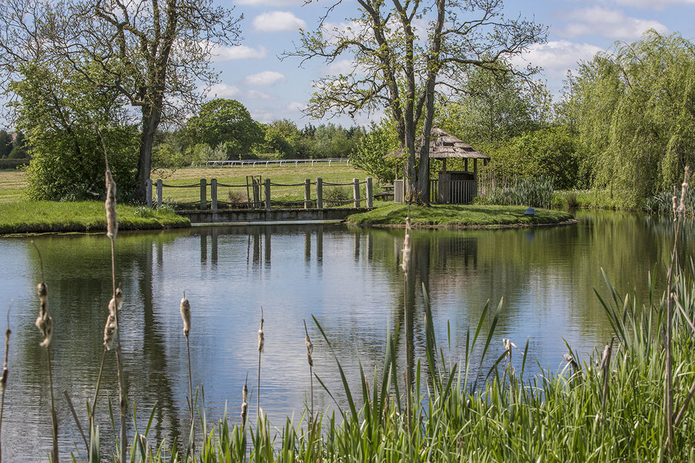 Pond1.jpg