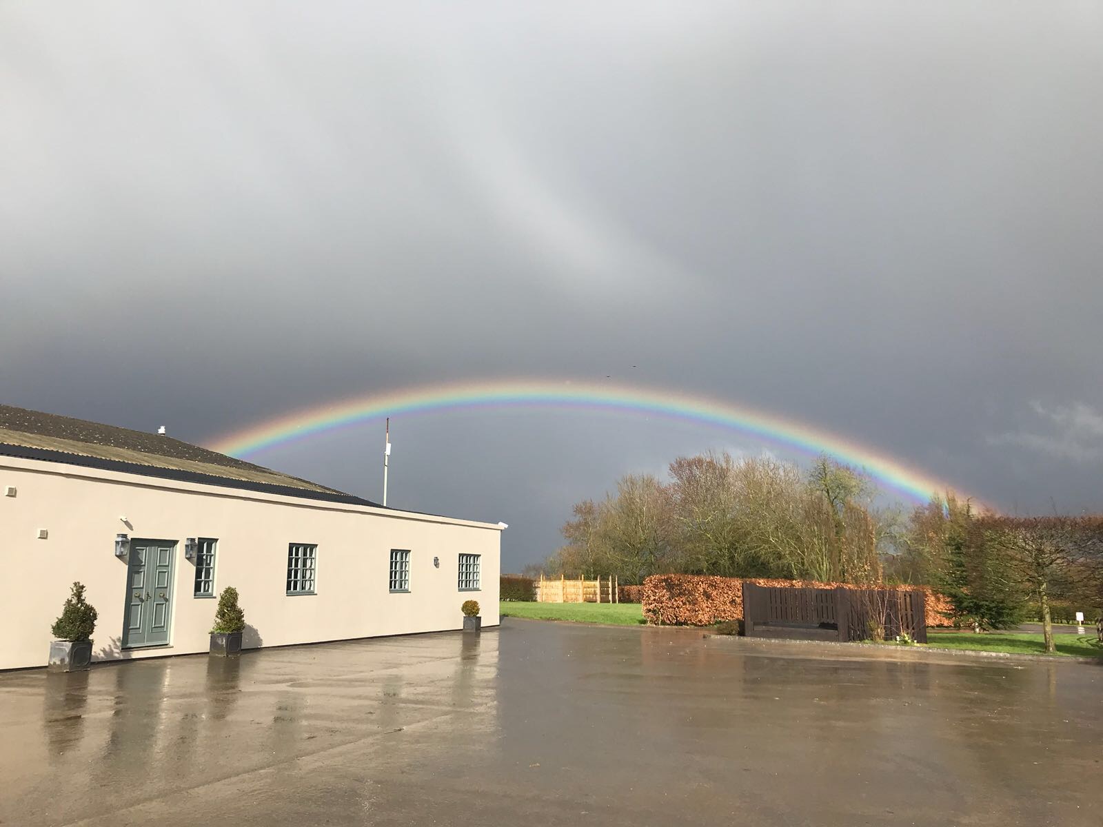 yard and rainbow.JPG