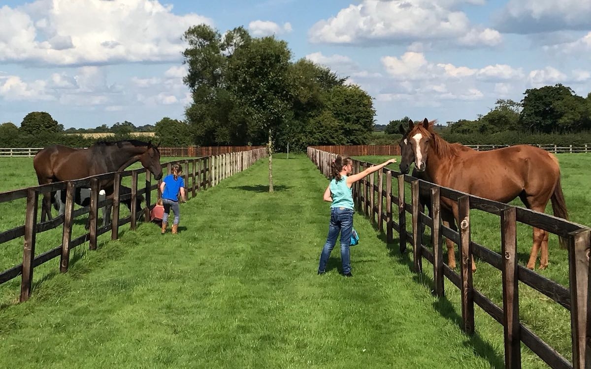 kids and horses.jpg