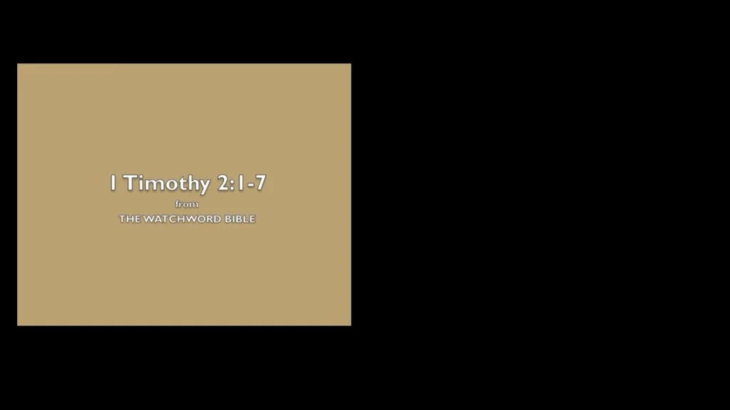 Slide 7