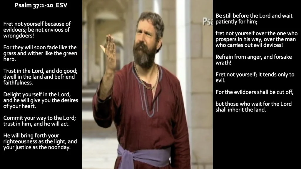 Slide 6