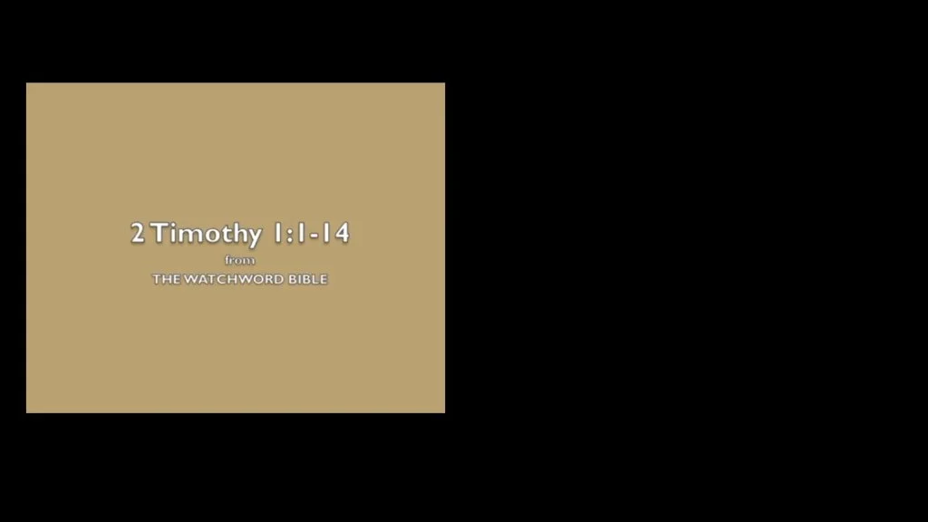 Slide 7