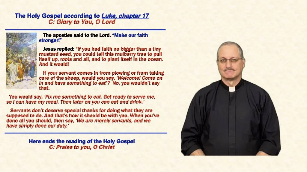 Slide 8