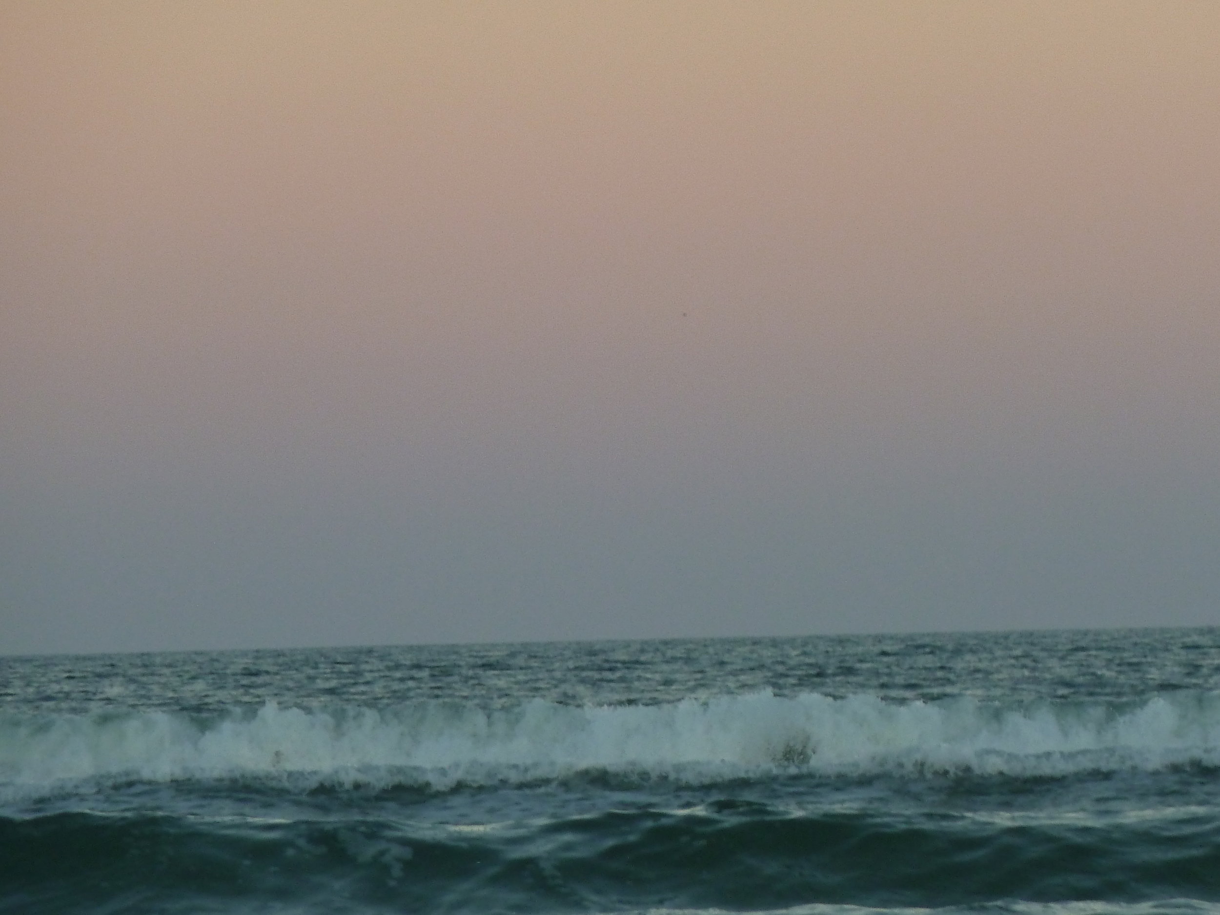 P1010297.JPG