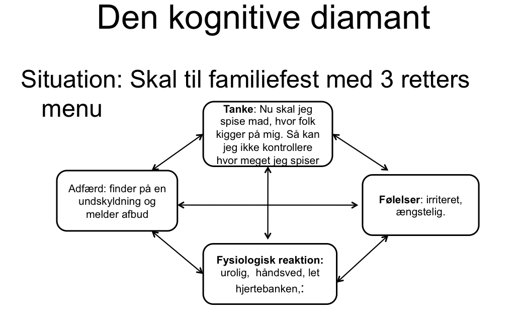 Kilde: Psykologerne; Tina Holm Nyland og Allan Blaabjerg