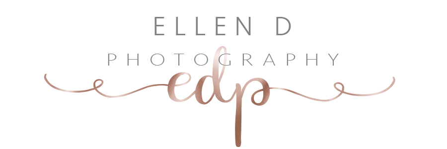 ellen d photography