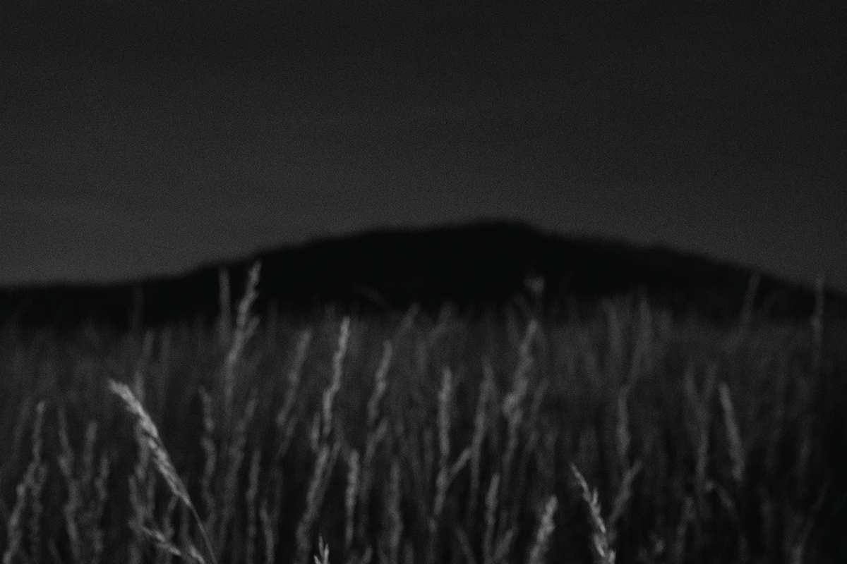 20160602_5495 bw_1200sRGB.jpg