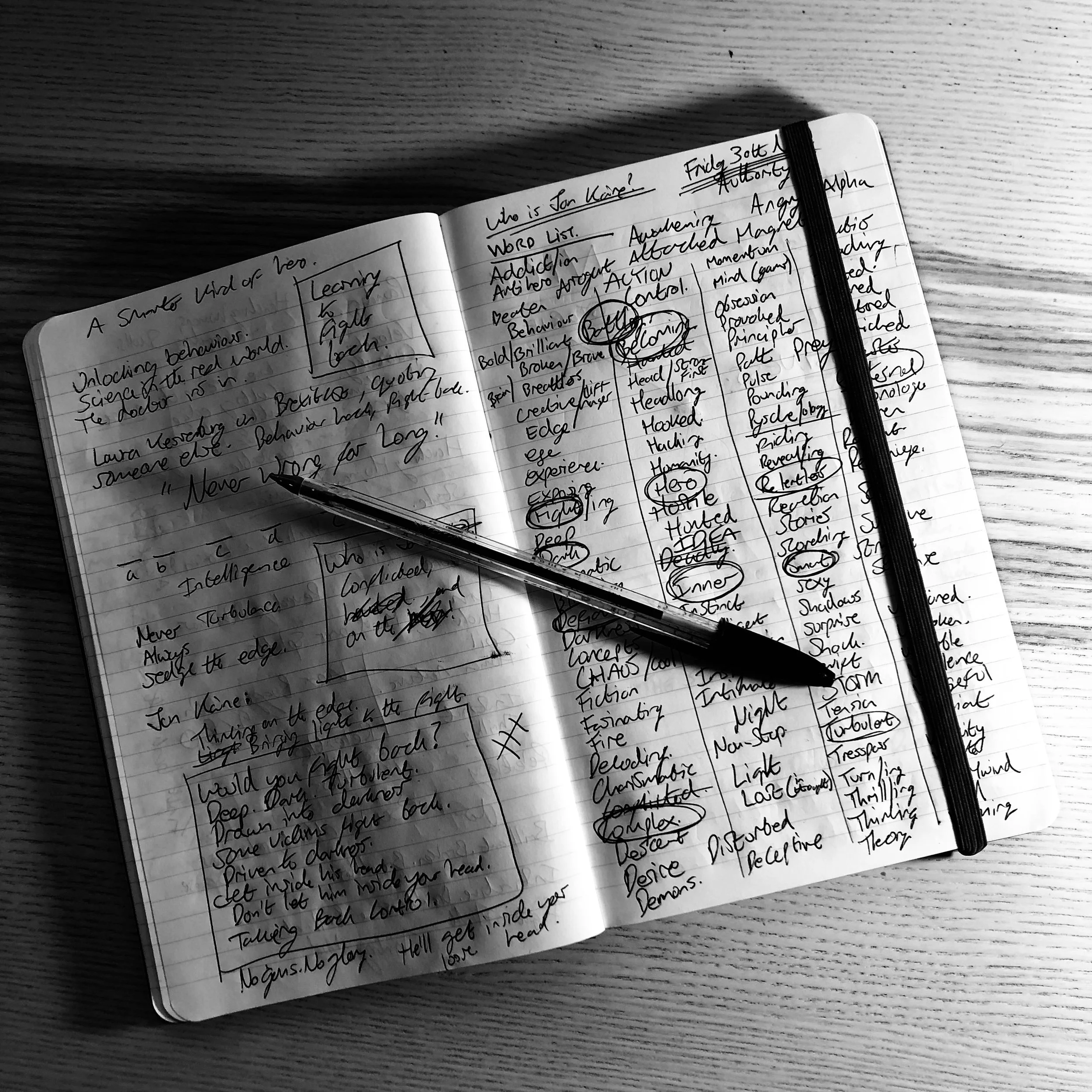 Indispensable. I use a red moleskin , but anything will do.