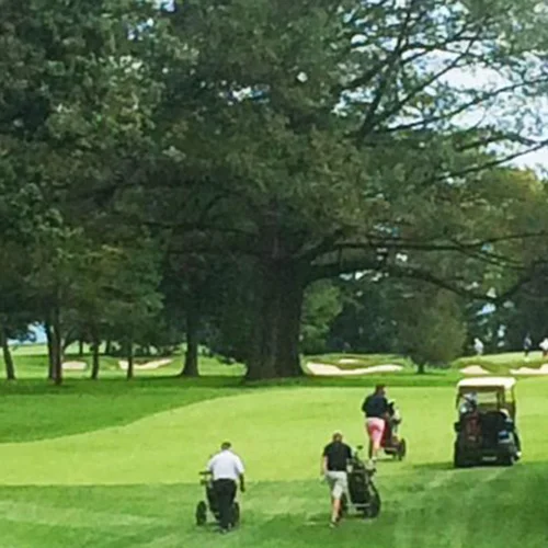 blogTBgolf.jpg