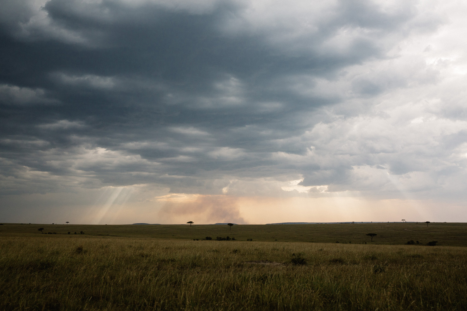 MaasaiMara-3O2A2266.jpg