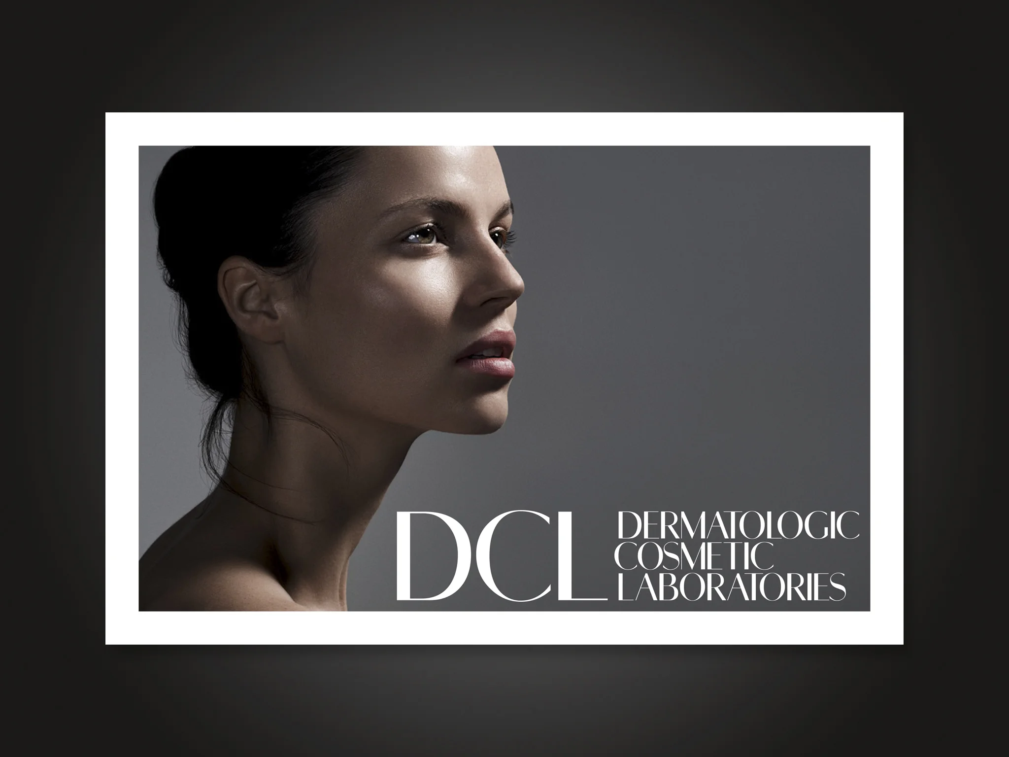 dcl_brochure_1.jpg