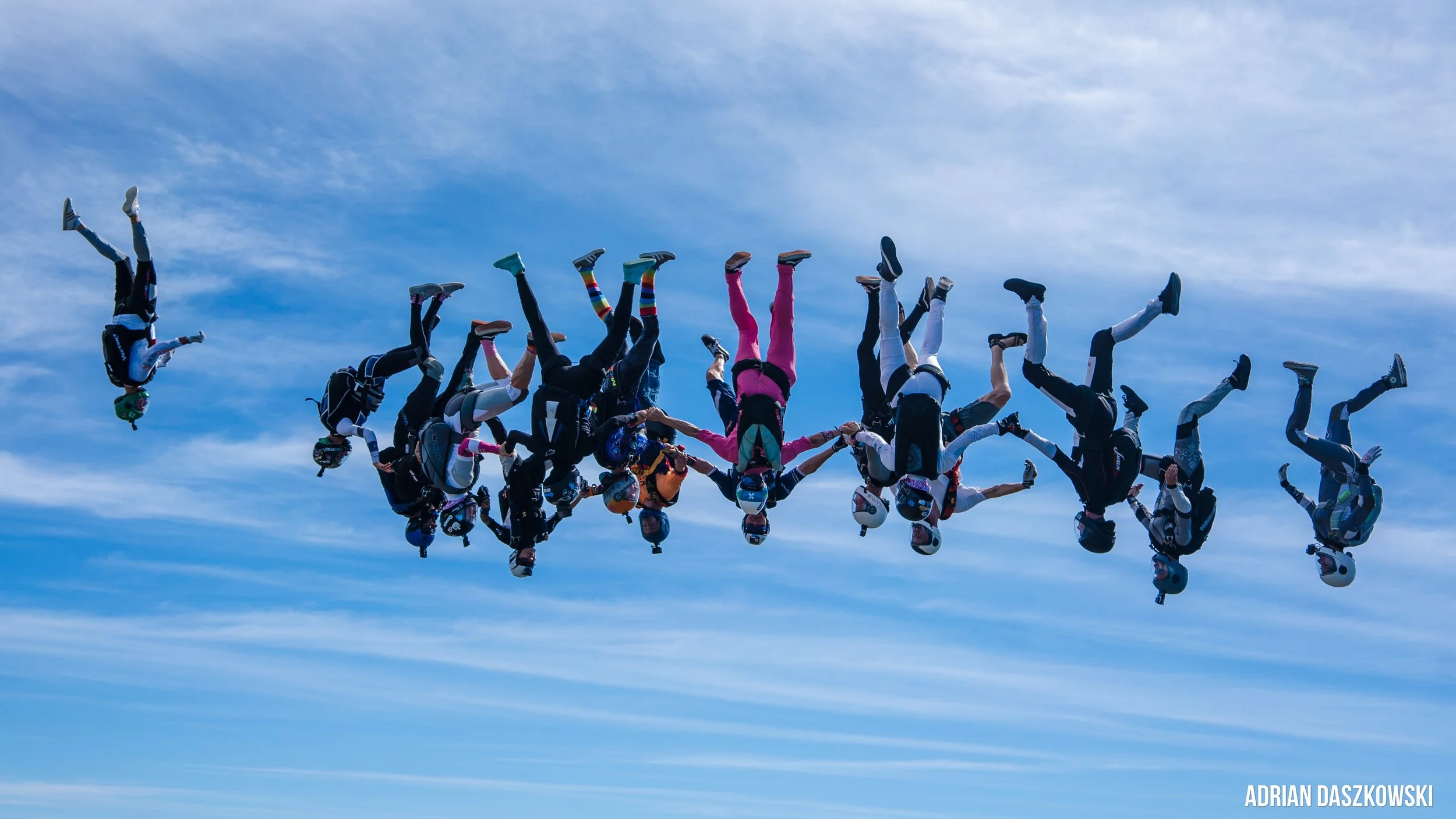 Vectorf fest -64.jpg