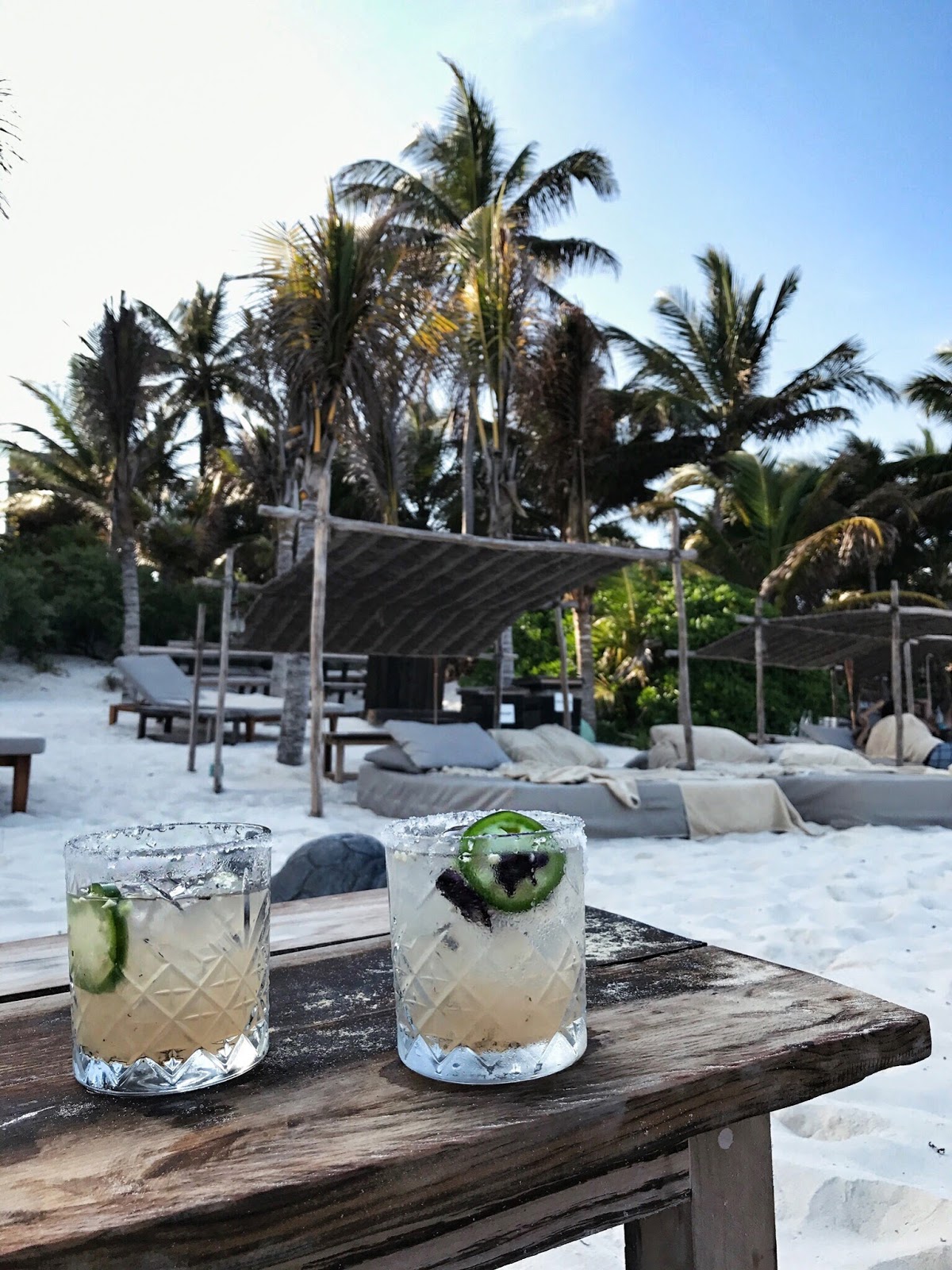 be-tulum-cocktails-travel-guide.JPG