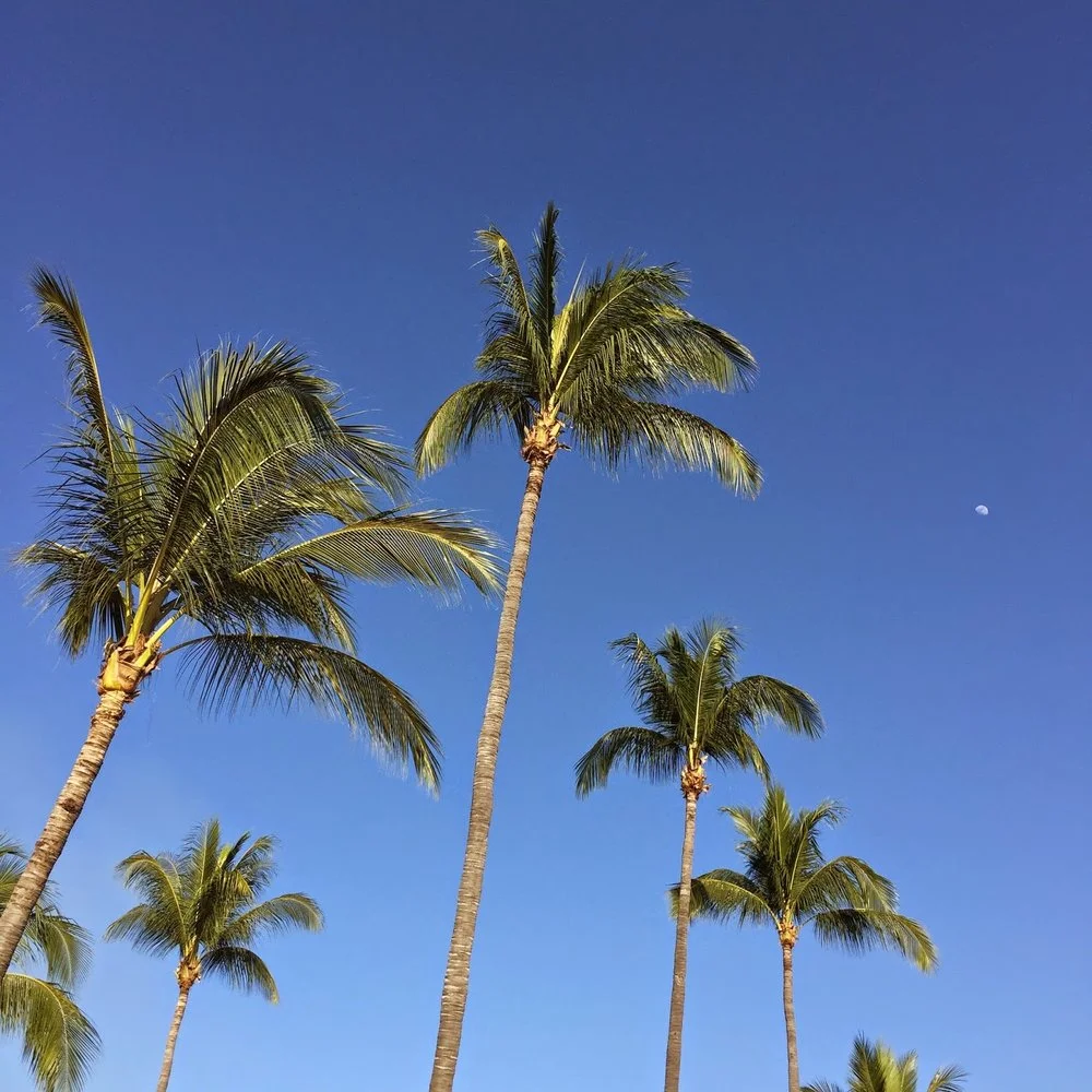 Travel Diary: Mexico 