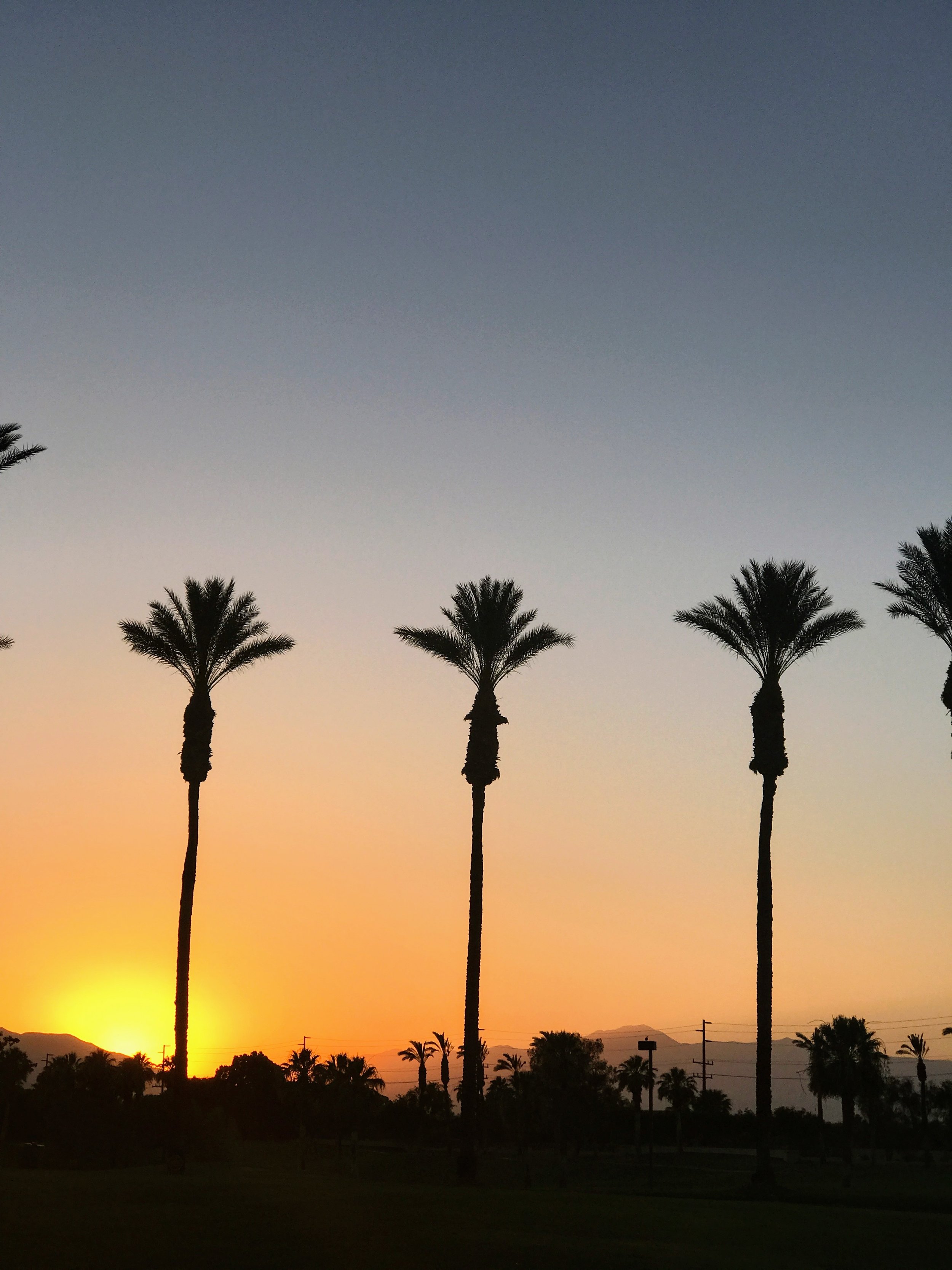 Sunset @ JW Marriott Palm Desert