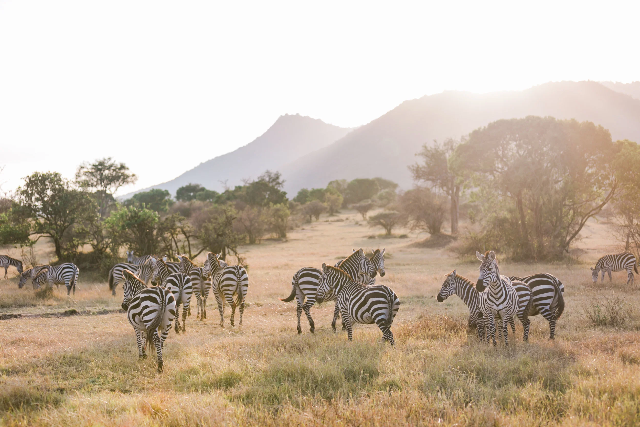 KENYA