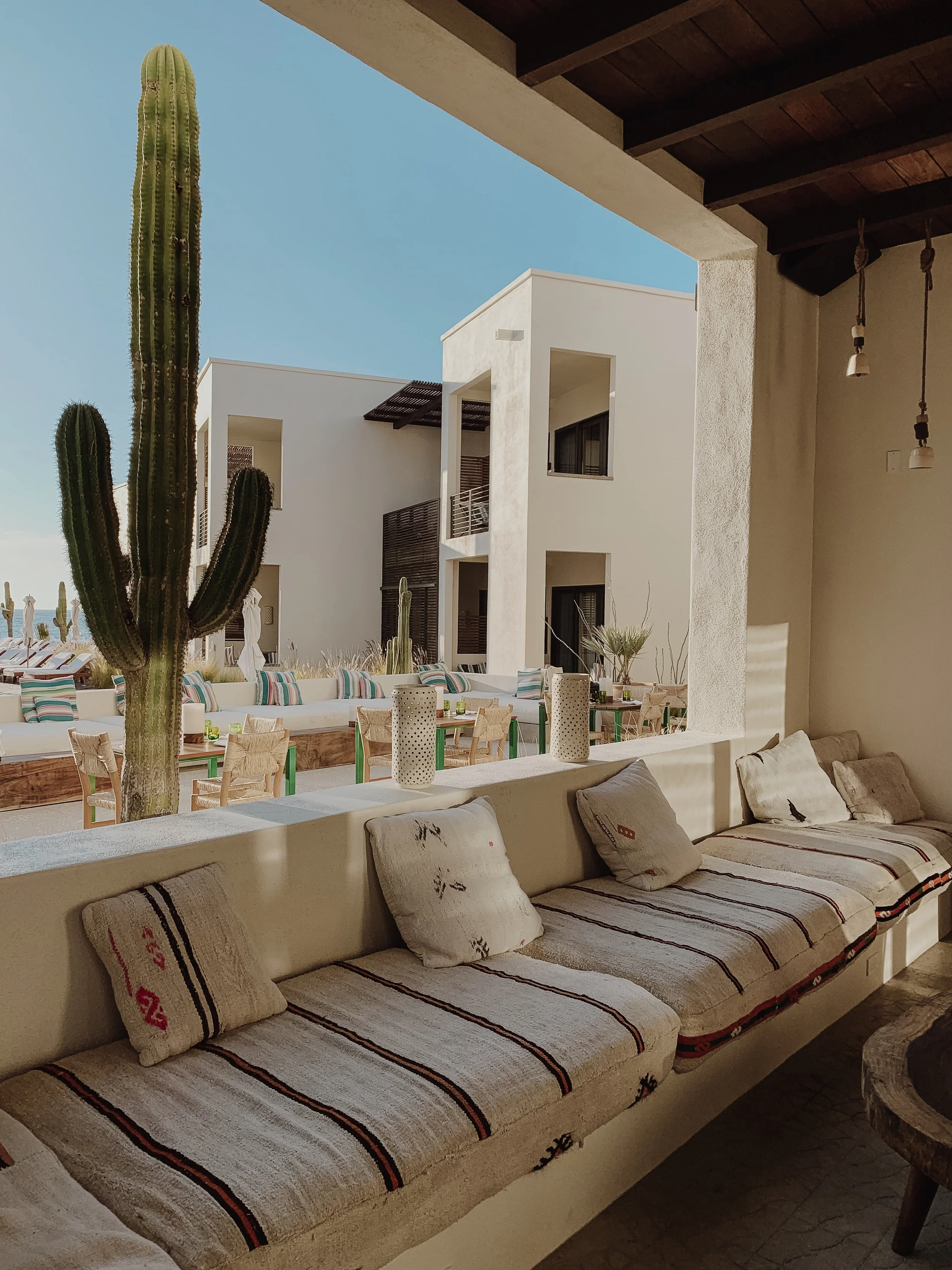 Travel Diary: La Paz, Mexico