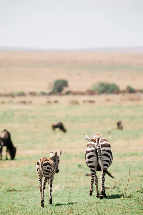 AFRICA