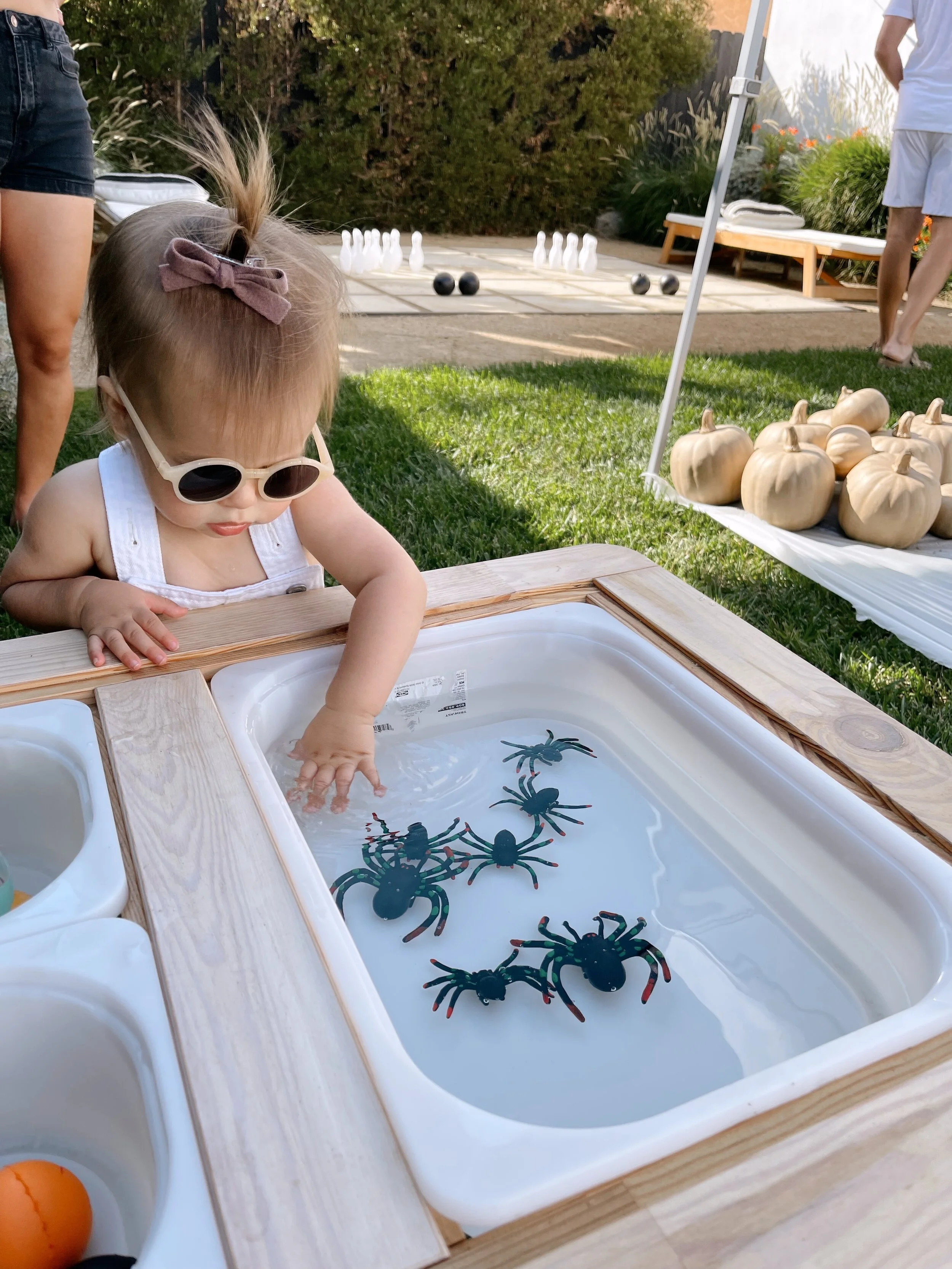 Luna's First Annual Pumpkin Painting Party 