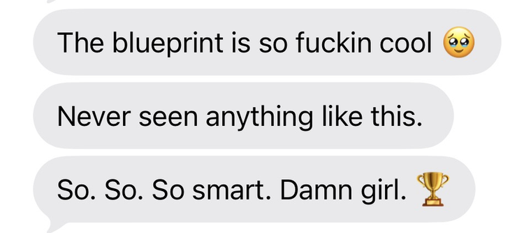 Customer message: The blueprint is so cool. Never seen anything like this. So smart.