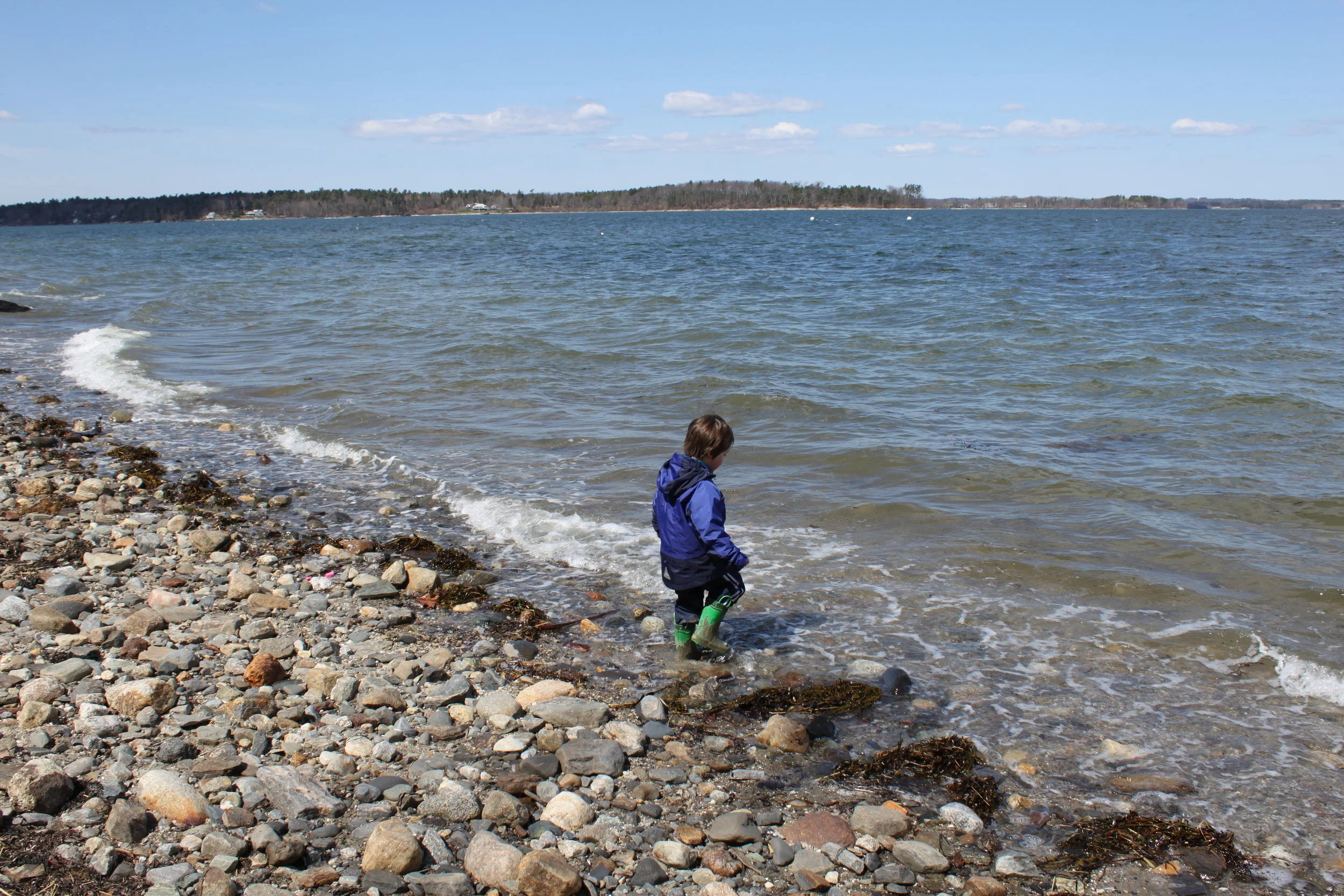 Gray Path (Penny Asherman) 1.jpg