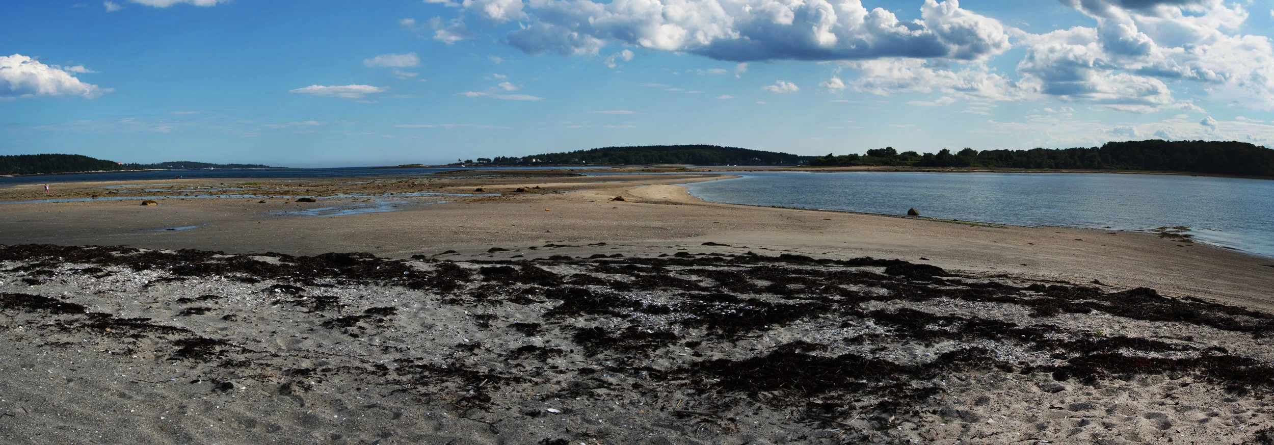 Indian Point / The Hook — Chebeague & Cumberland Land Trust