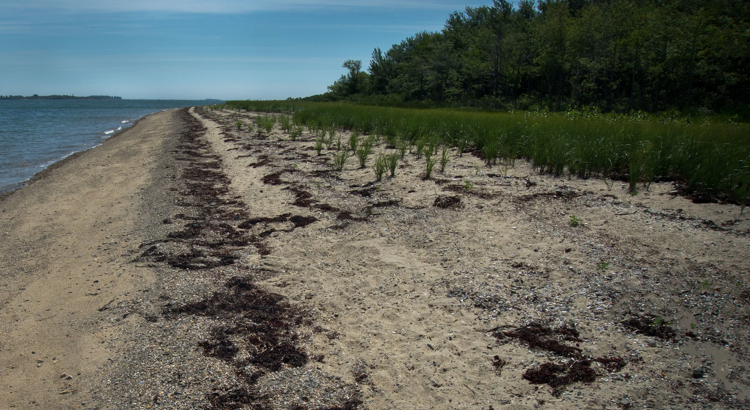 Rose's Point — Chebeague & Cumberland Land Trust