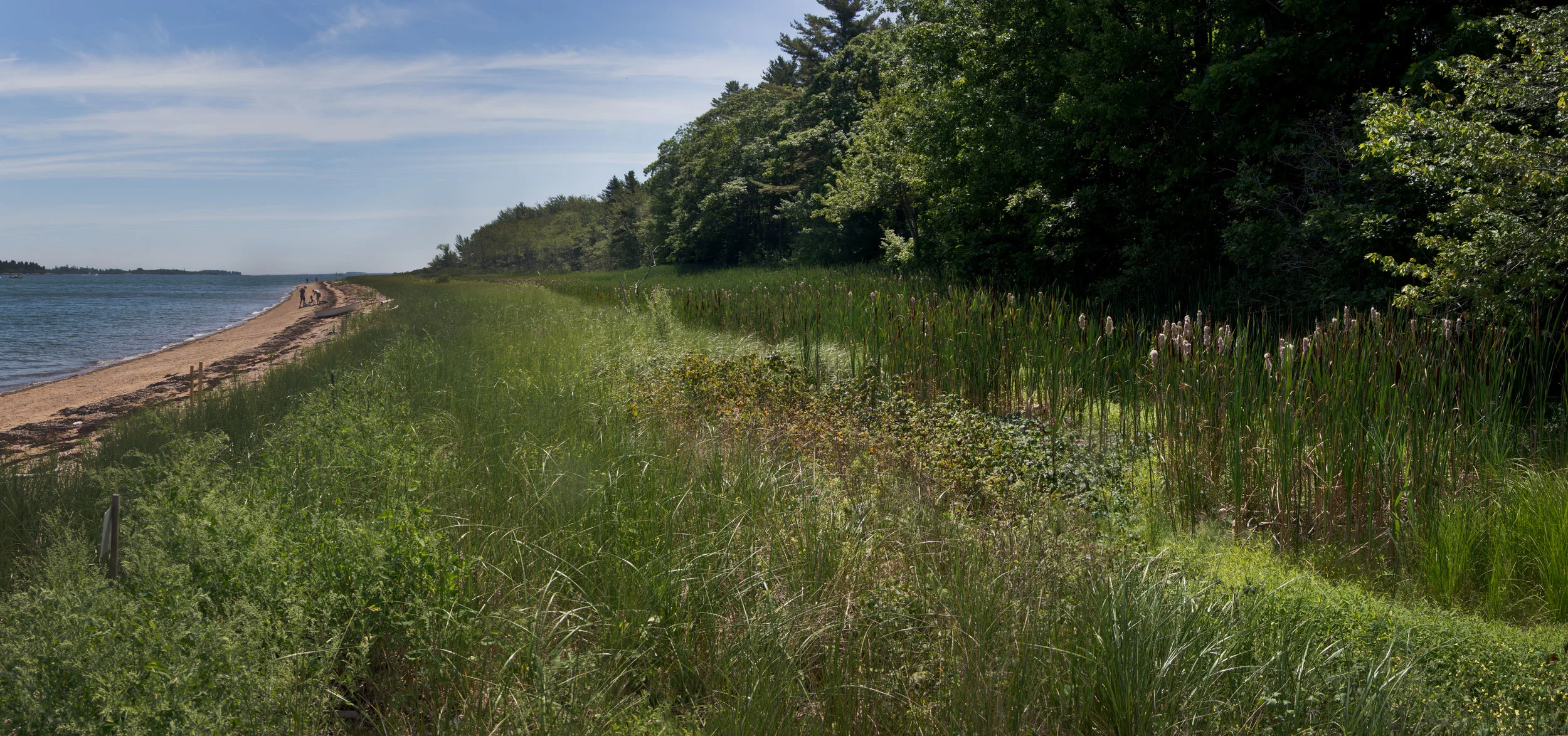 Rose's Point — Chebeague & Cumberland Land Trust