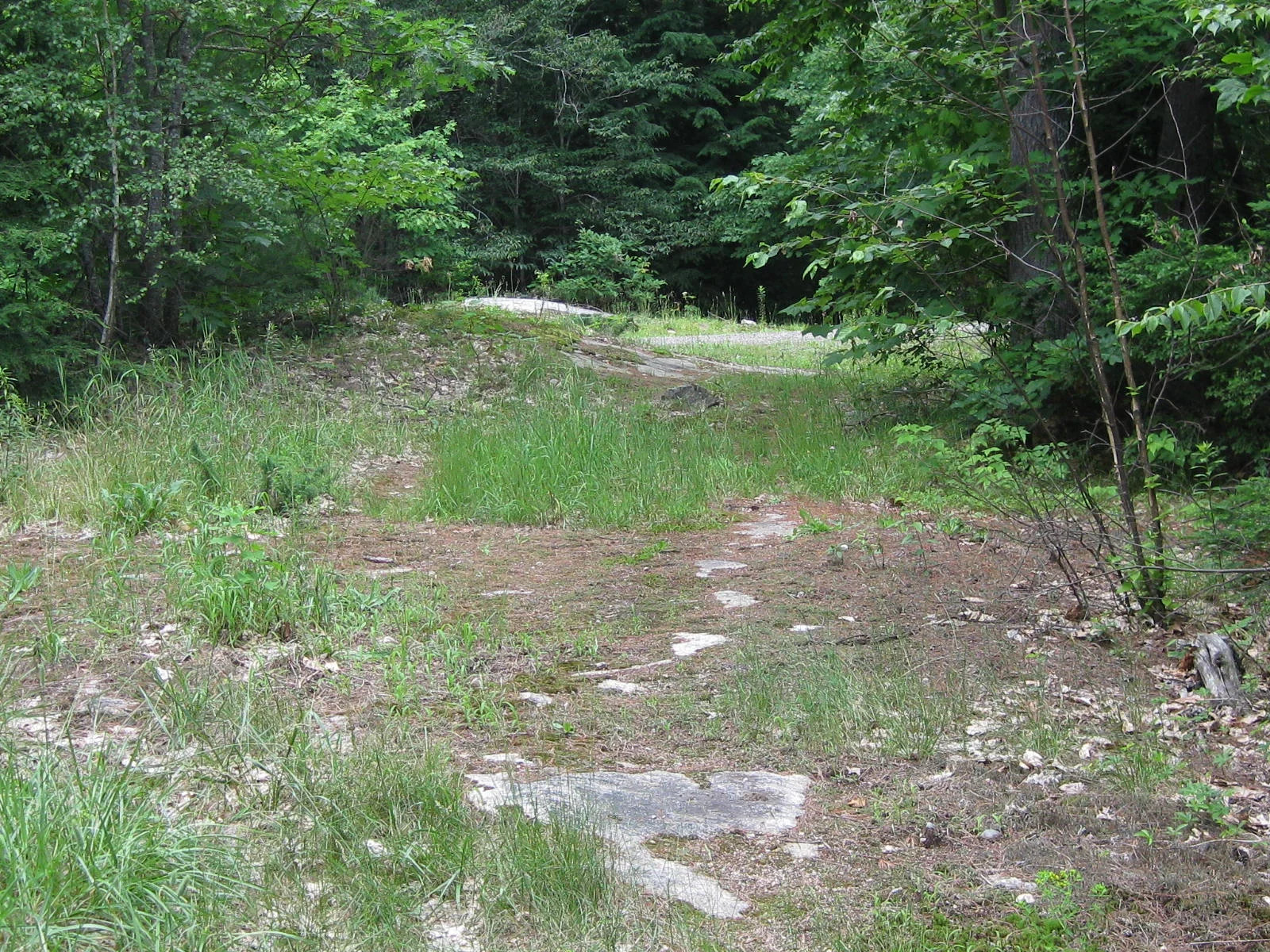 Bruce Hill (uncredited) 4.JPG