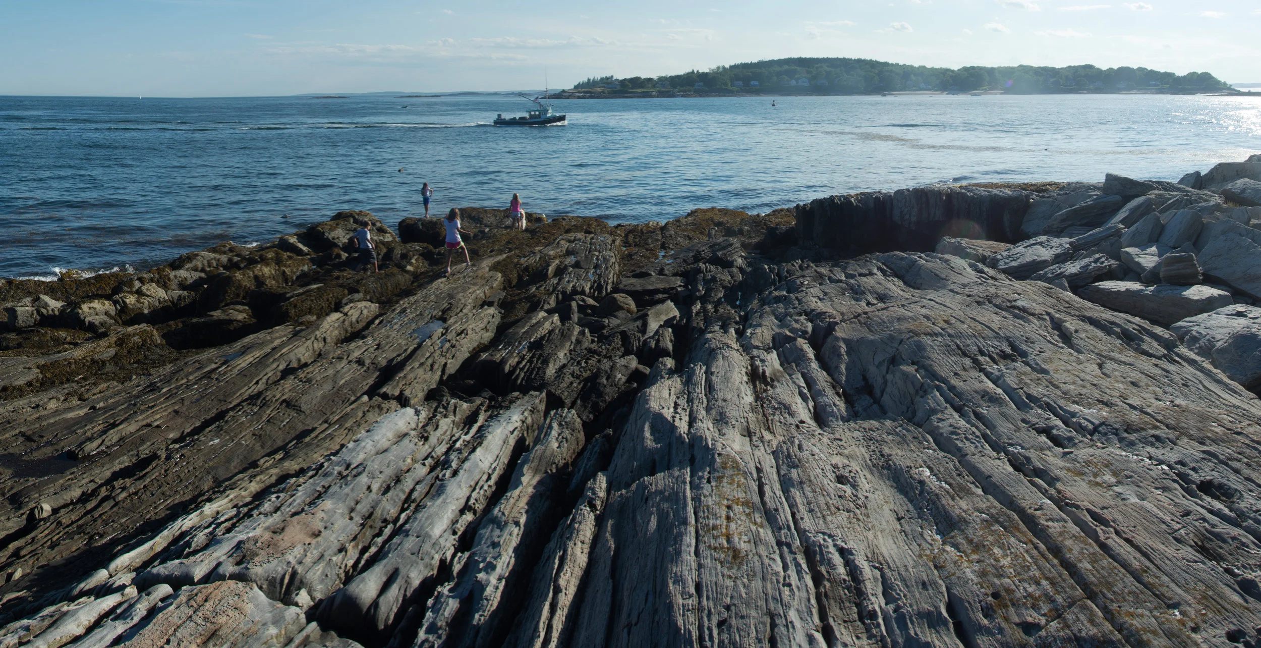 Deer Point (Penny Asherman) 1.JPG