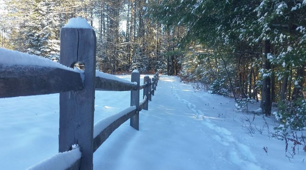 Pisgah Hill Preserve.png