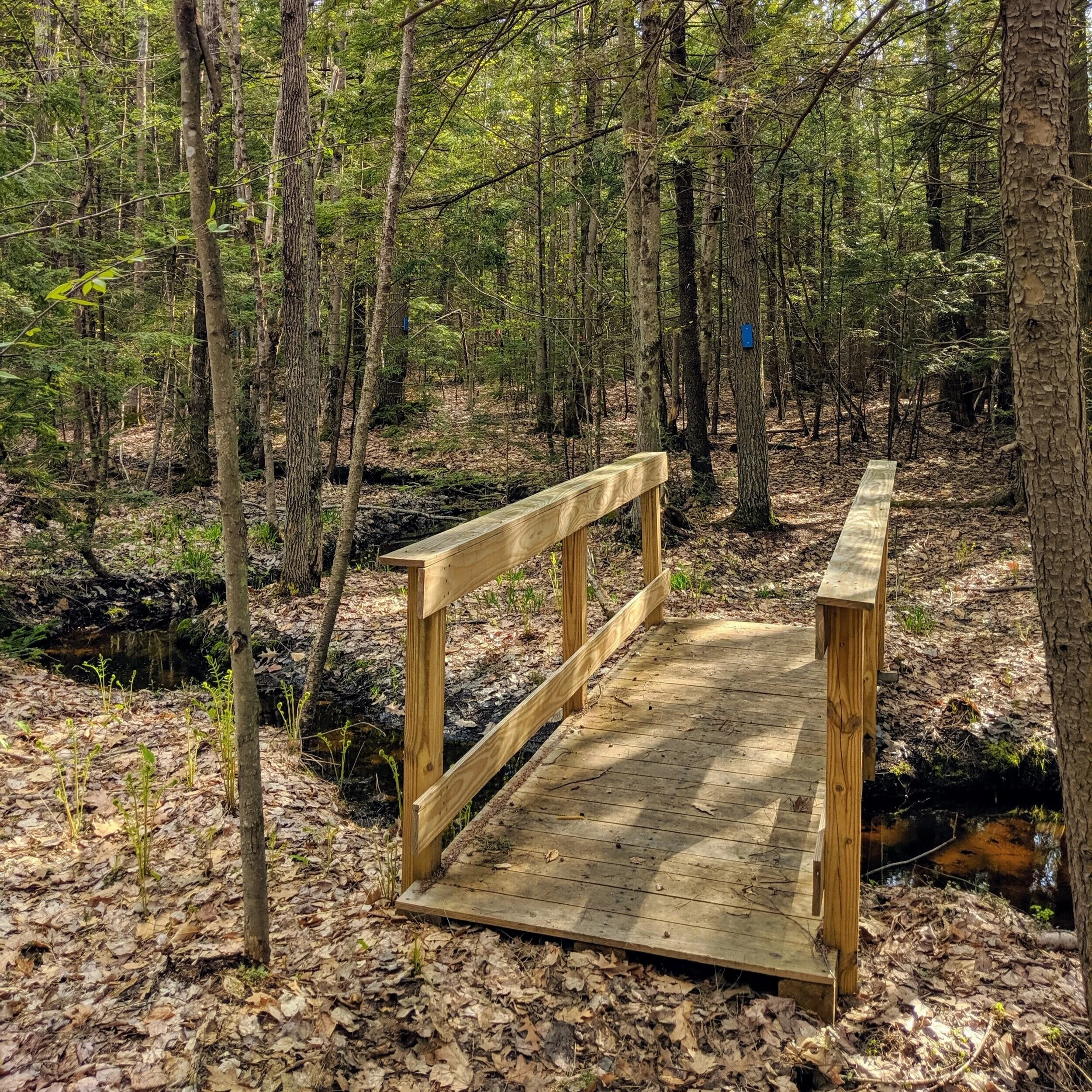 Greely Woods, Cumberland