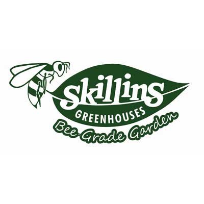 Skillins_400px_Logo.jpg