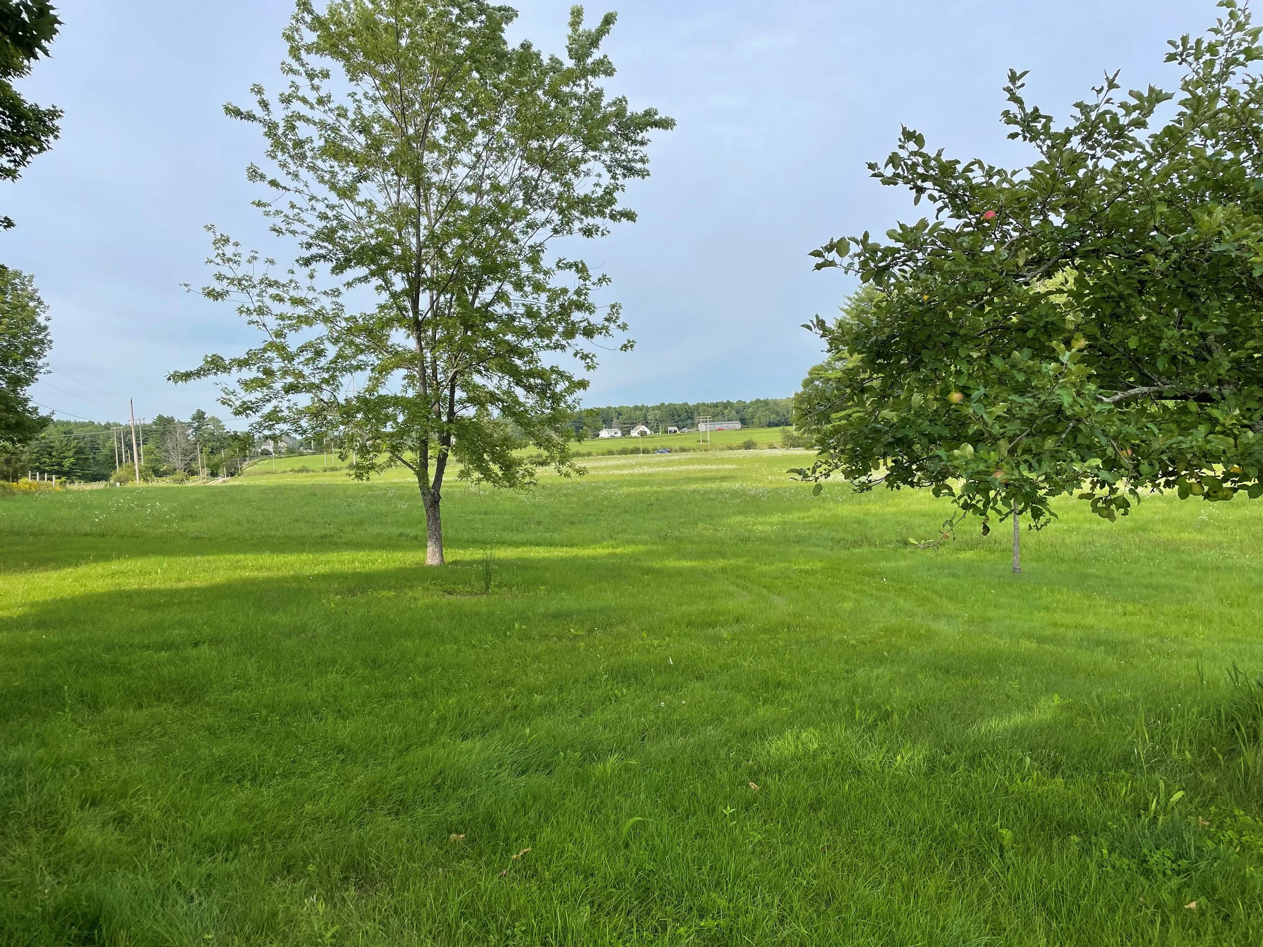 The Farm at LongWoods Preserve — Chebeague & Cumberland Land Trust