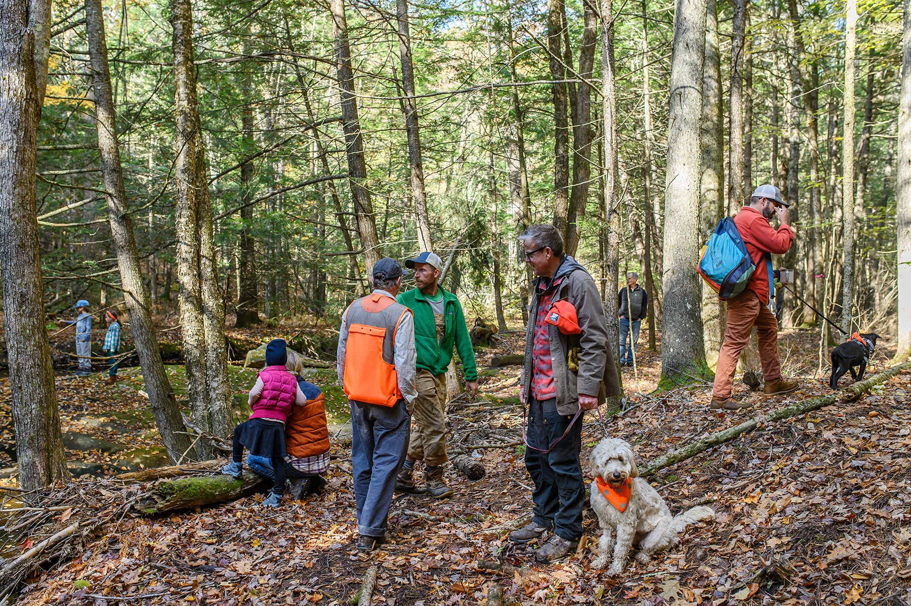 watsonwoods_0280.jpg