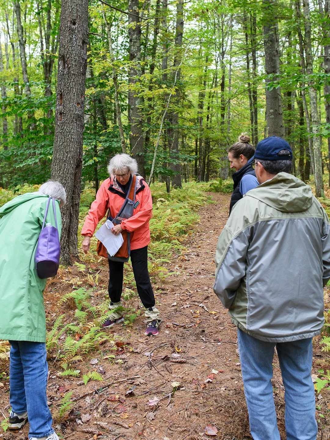 LongWoods Preserve, Cumberland