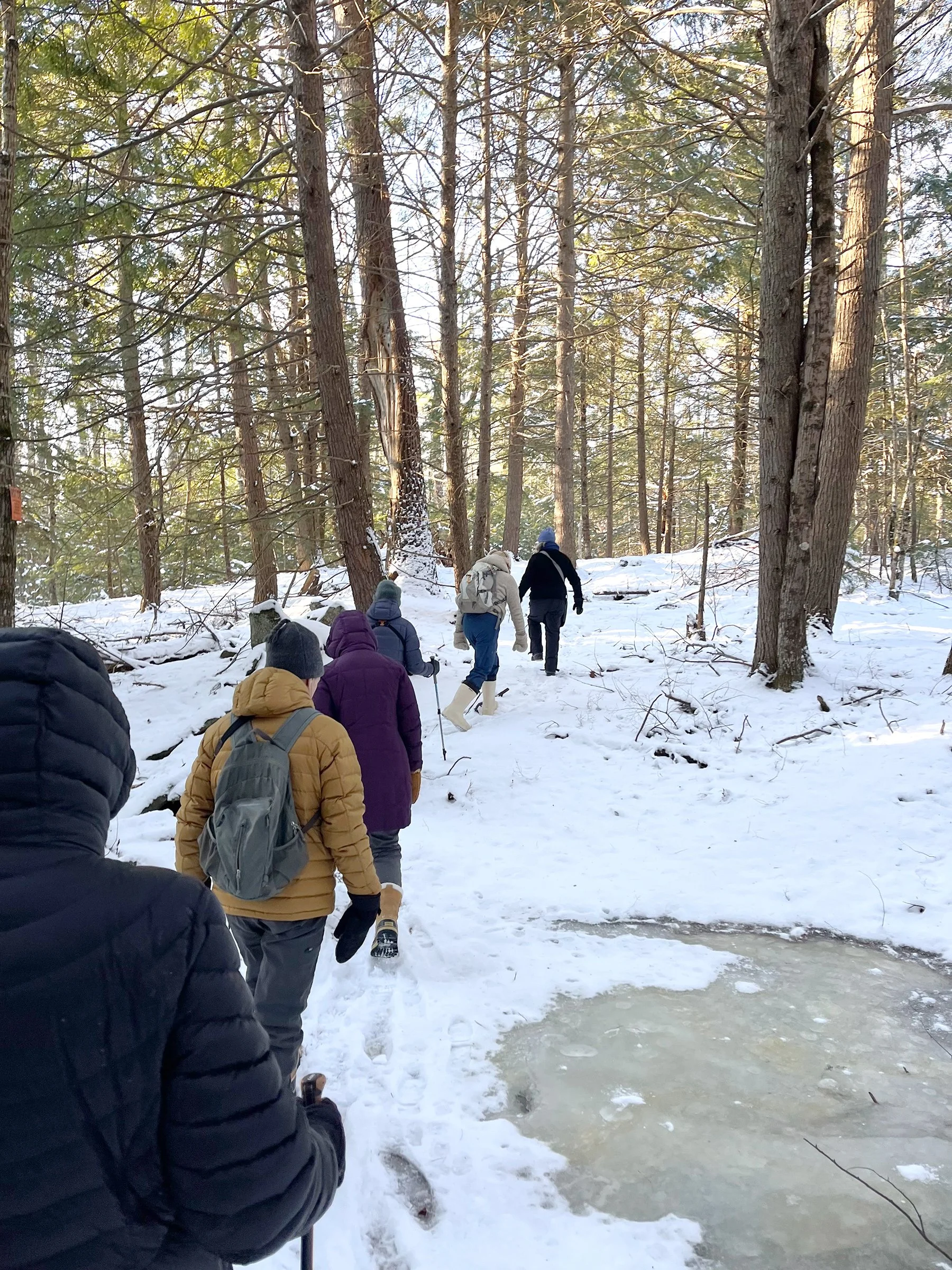 Carley-Grant, Cumberland