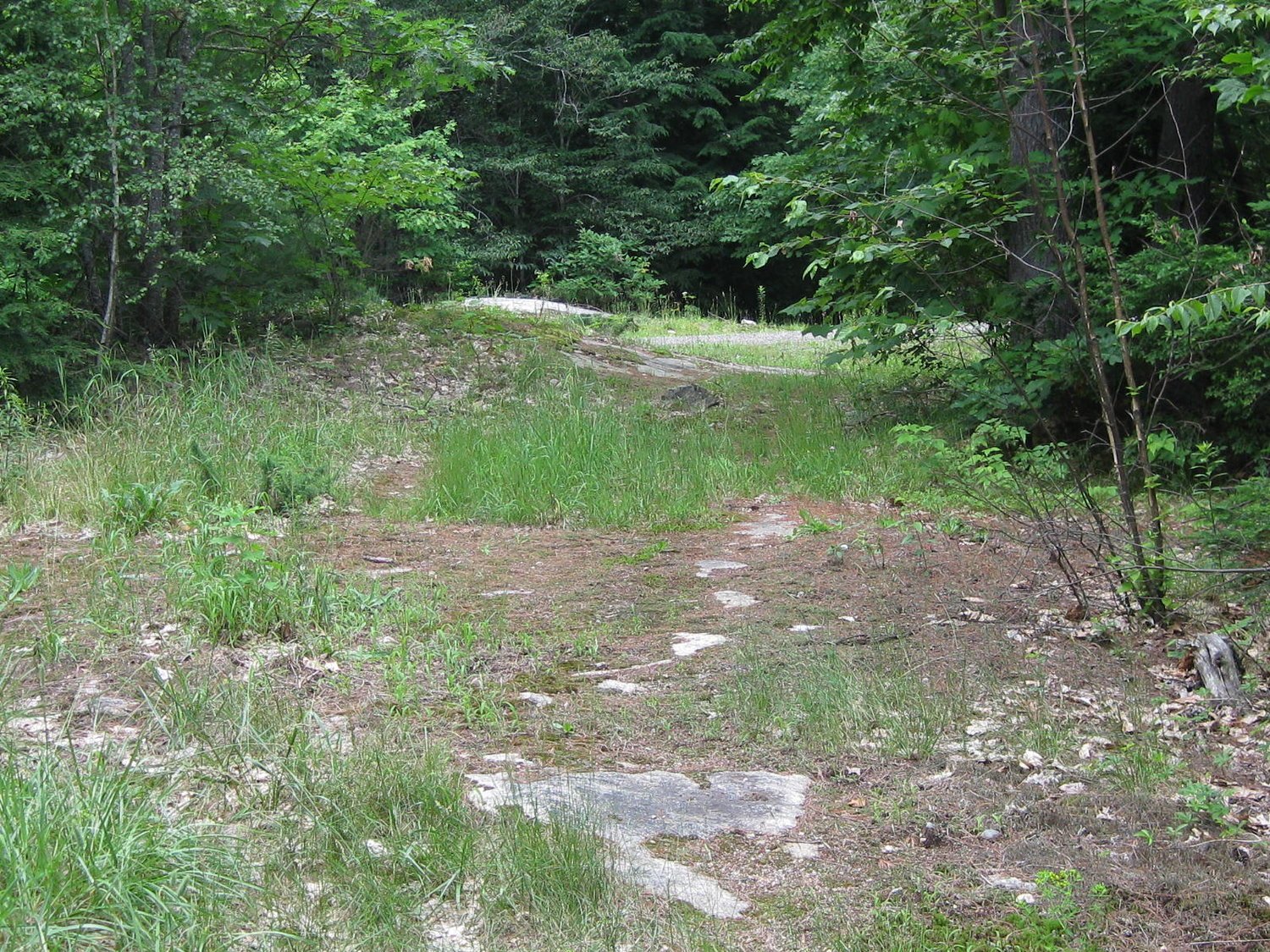 Bruce Hill, Cumberland