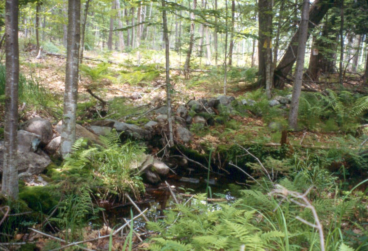 Jessie Bullens-Crewe, Cumberland