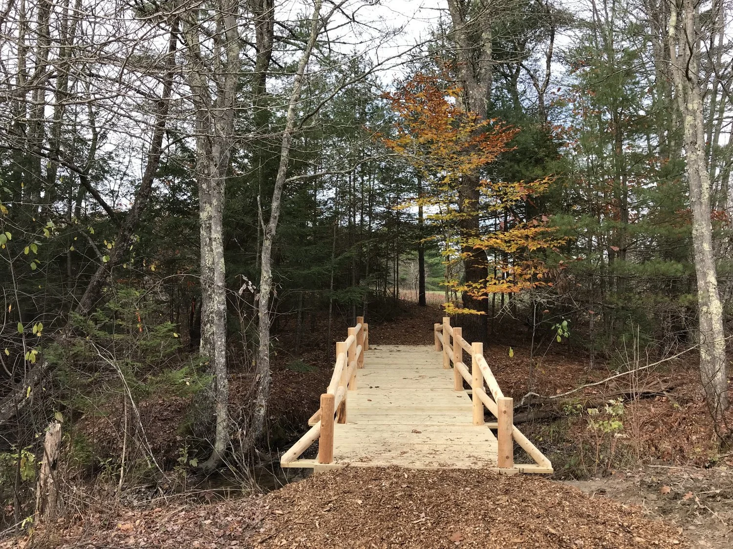 Waterfall Trail, Cumberland