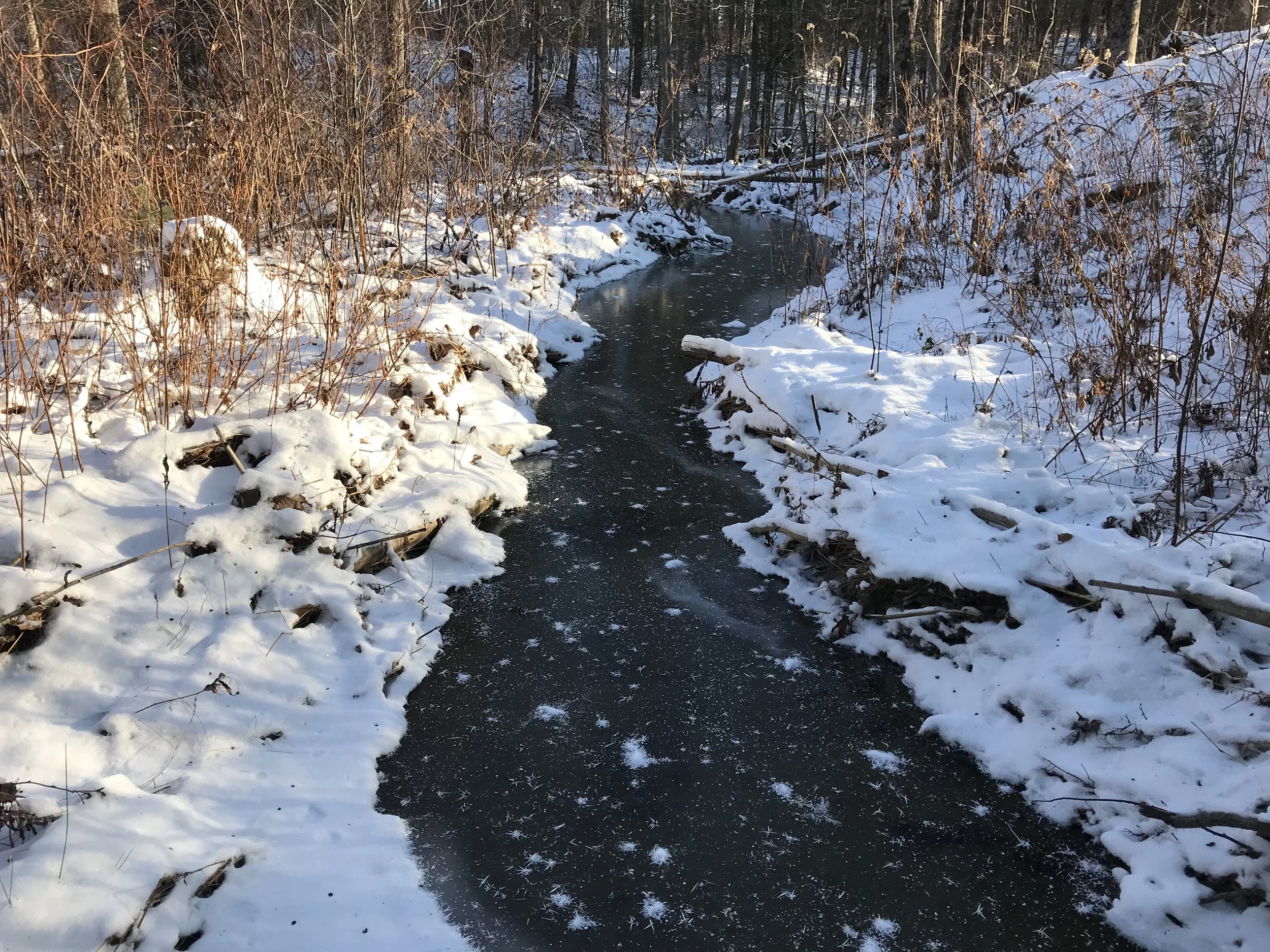 Berkovich, Cumberland