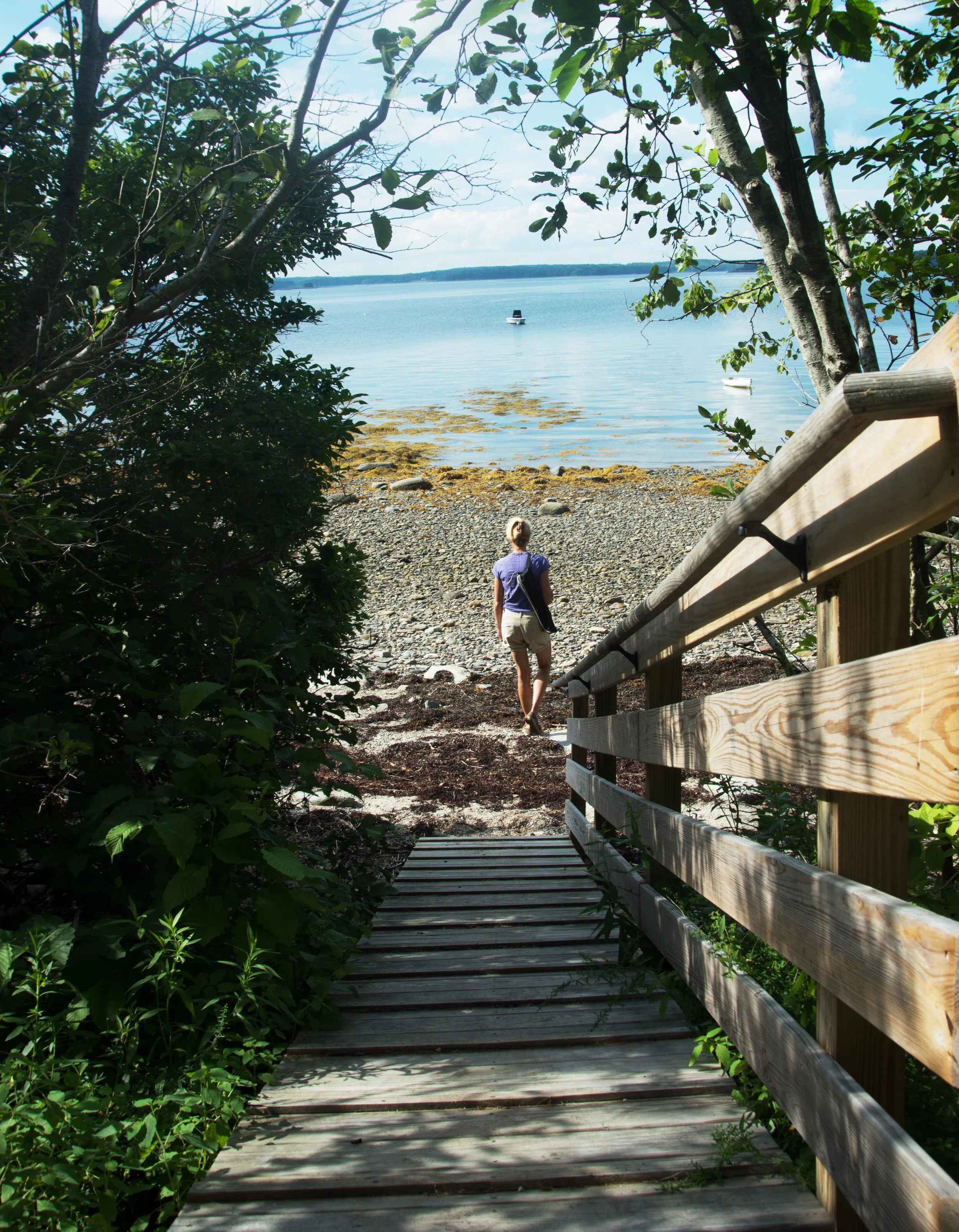 4 - Gray Path-SteveThomas-2.jpg