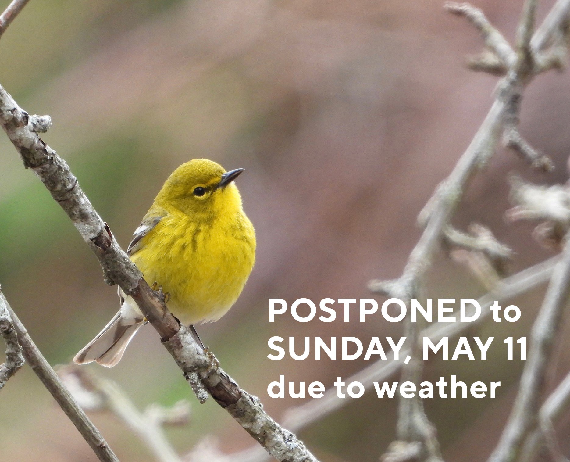 Migratory Bird Walk
